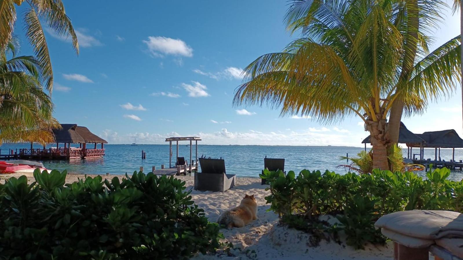 Cancun Private Apartment Экстерьер фото